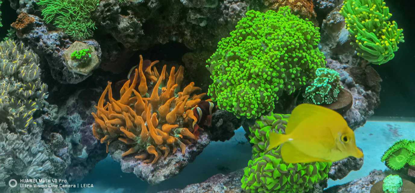 ΢��ͼƬ_20220415161458.jpg