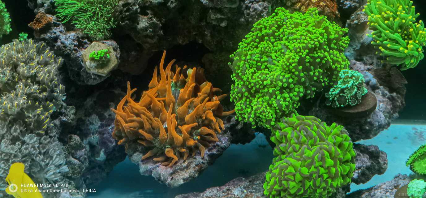 ΢��ͼƬ_20220415161316.jpg