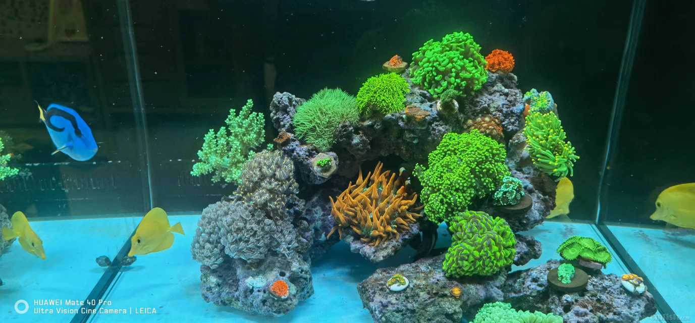 ΢��ͼƬ_20220415161505.jpg