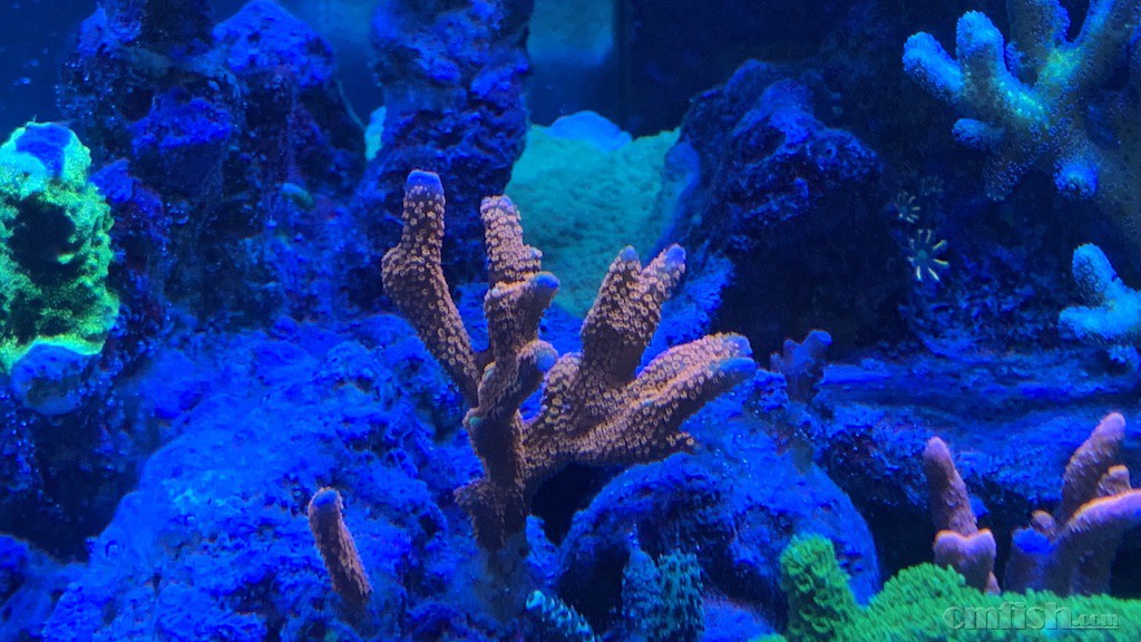 IMG_4368.jpeg