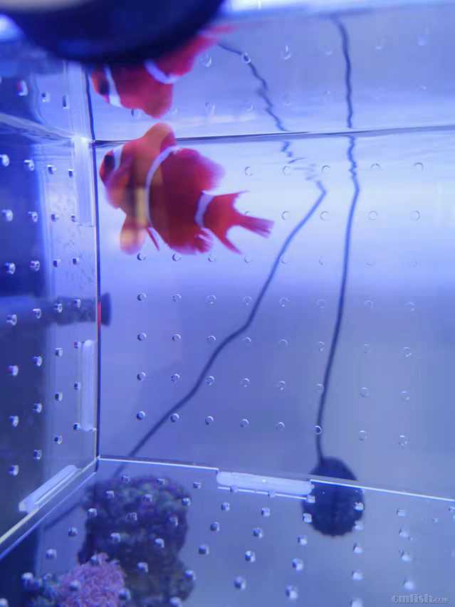 ΢��ͼƬ_20220307110727.jpg
