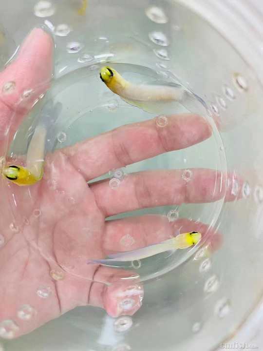 ΢��ͼƬ_2022042609183511.jpg