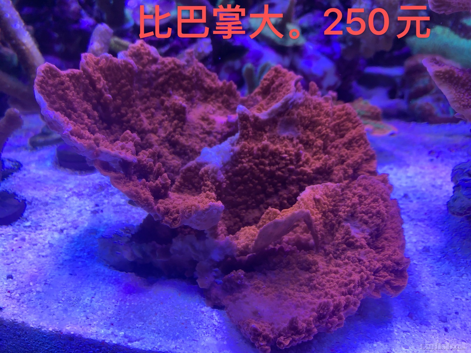 C9F4AAF2-F3AC-49B8-B209-0F85C05FFDA6.jpeg