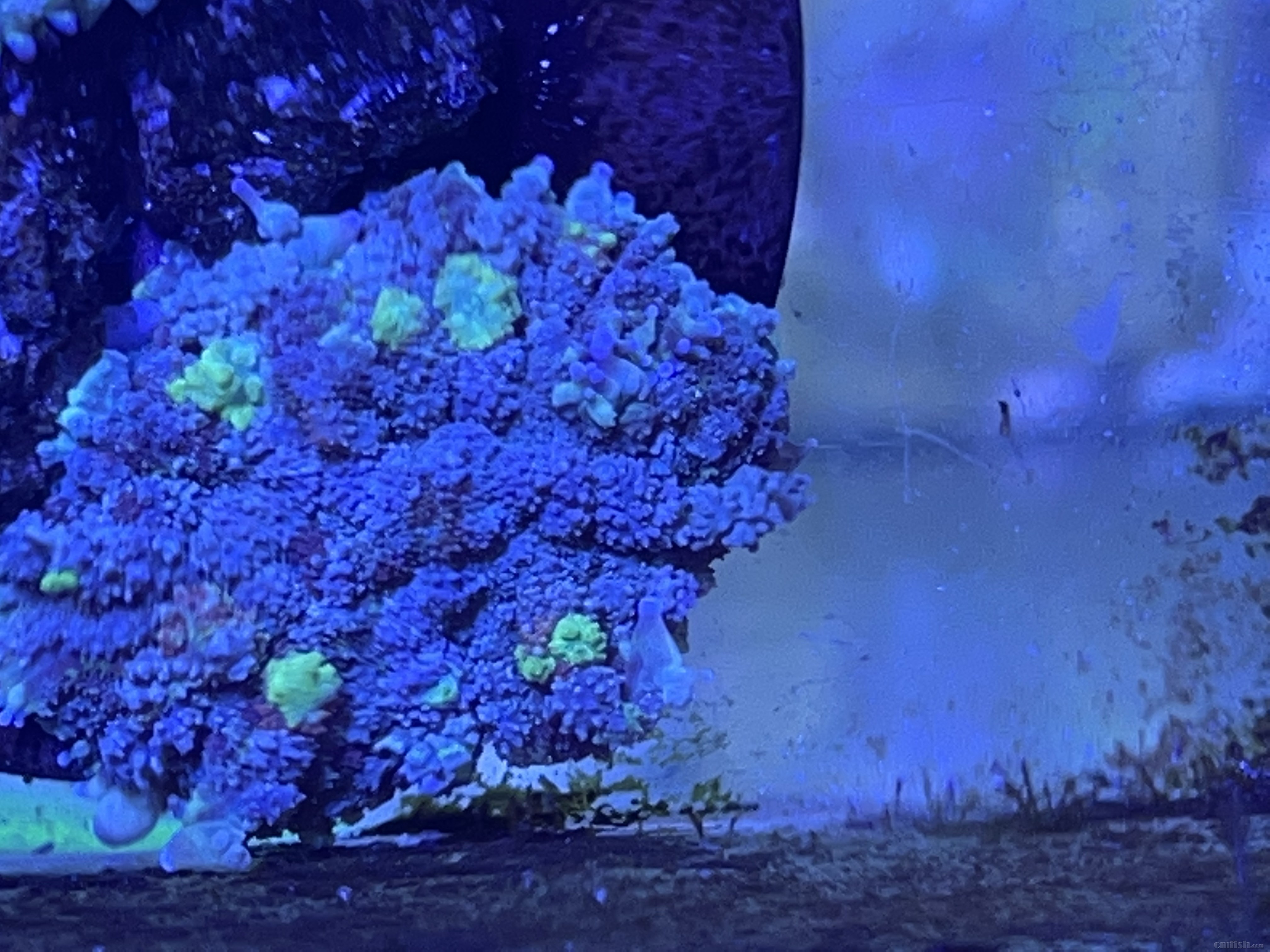 E434138C-09C0-43E9-8B9F-9BE14DE3CE0A.jpeg