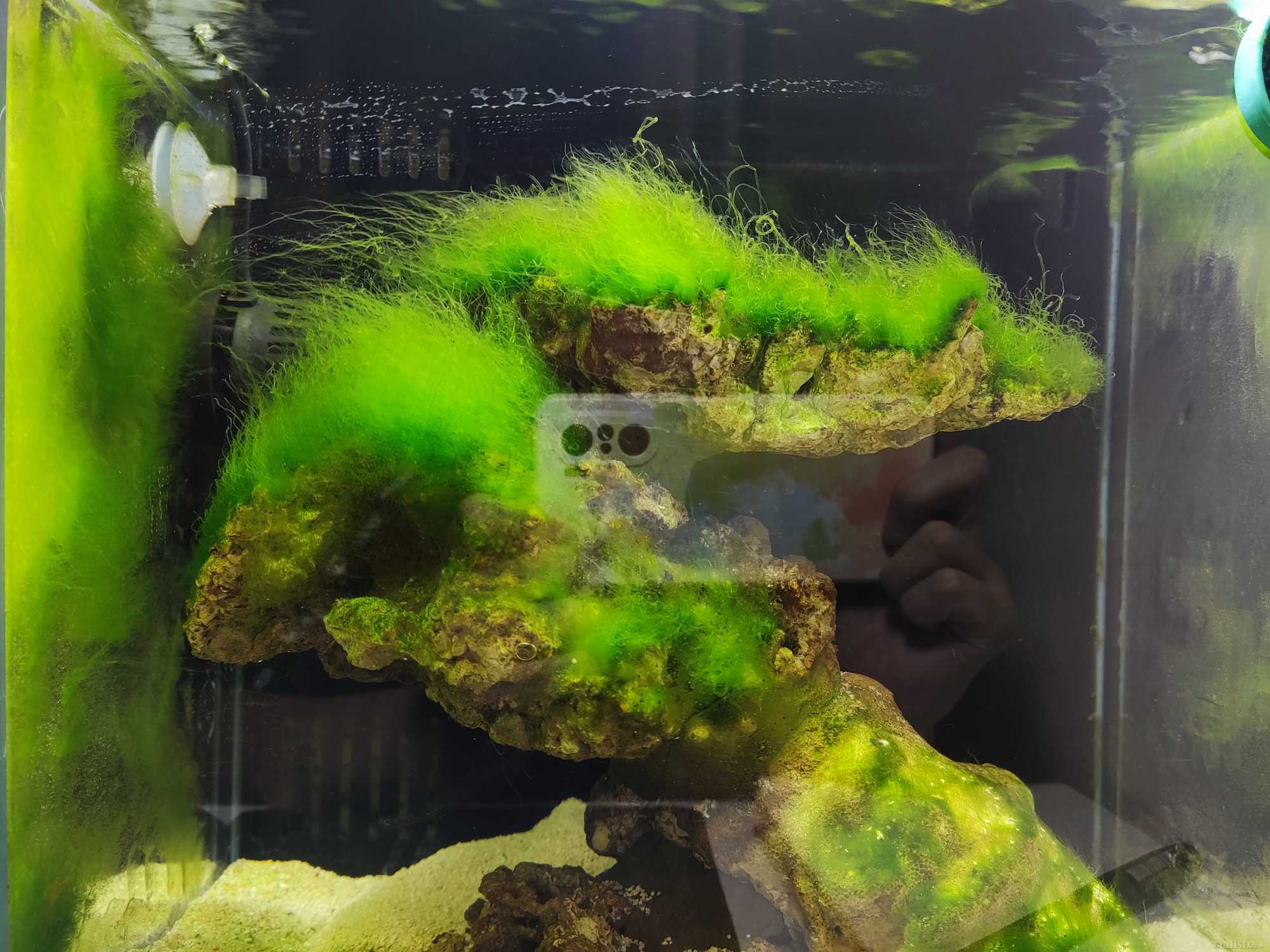 4��15��