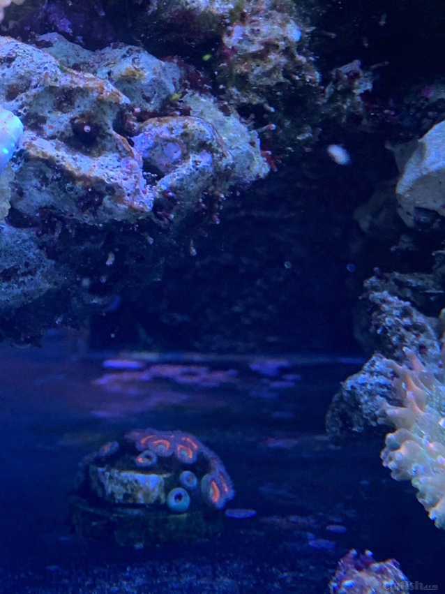΢��ͼƬ_20220506073127.jpg