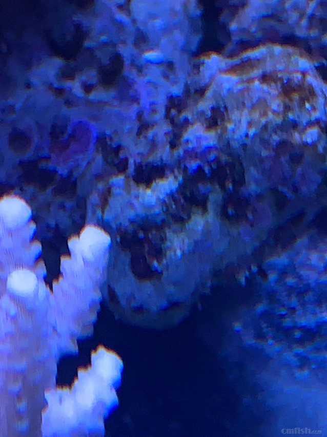 ΢��ͼƬ_20220506073138.jpg