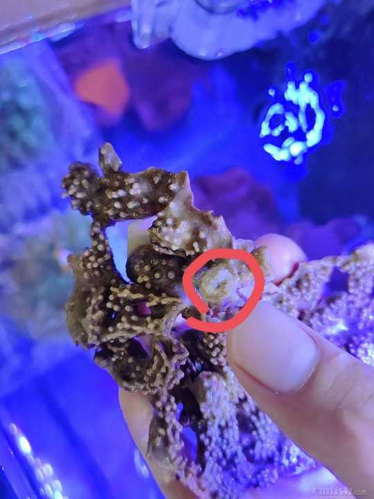 ΢��ͼƬ_20220506131318.jpg