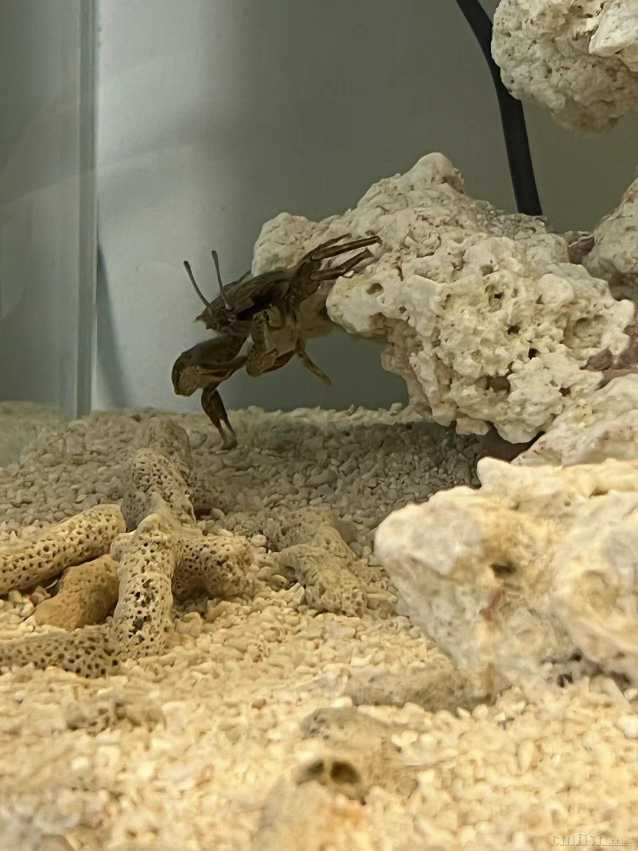 ΢��ͼƬ_20220506151101.jpg