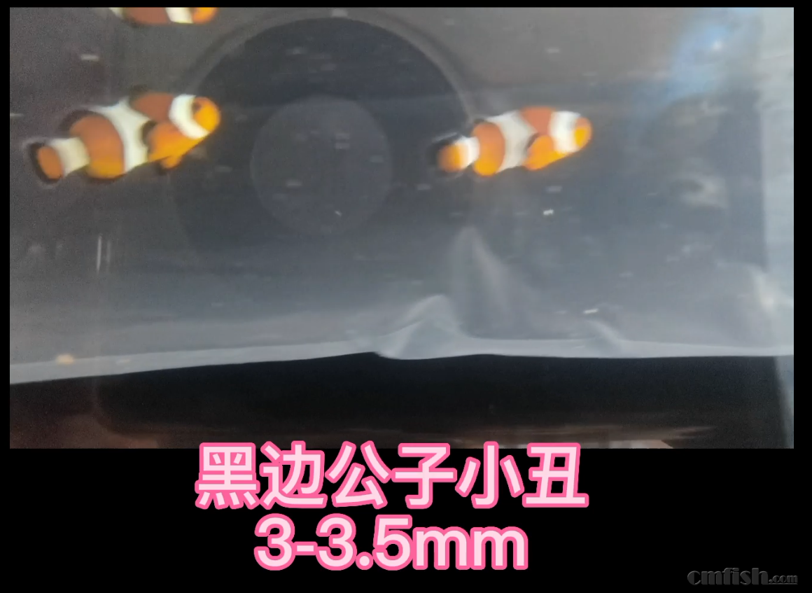 ��ҵ΢�Ž�ͼ_16520852808320.png