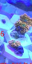 12.png