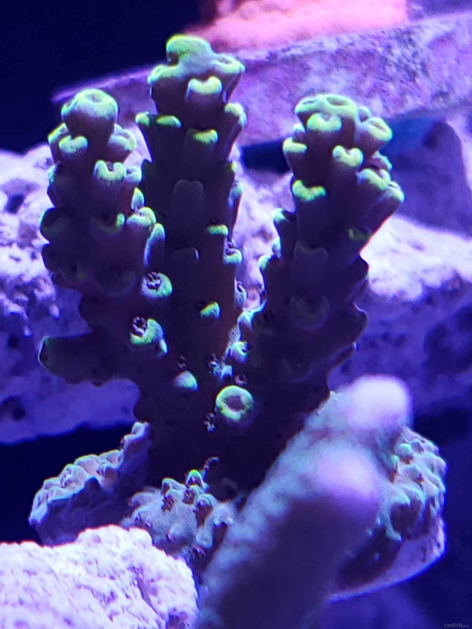 20220509_184603.jpg
