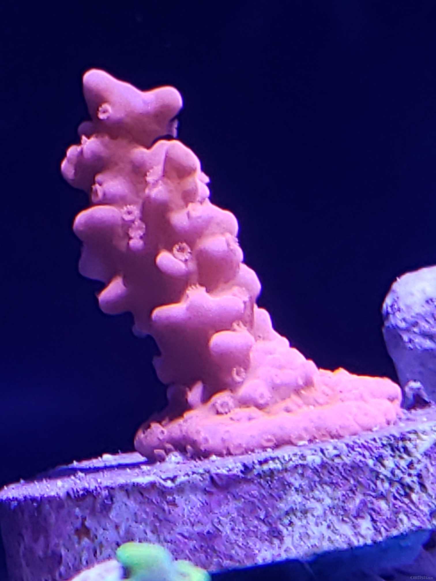 20220509_184609.jpg