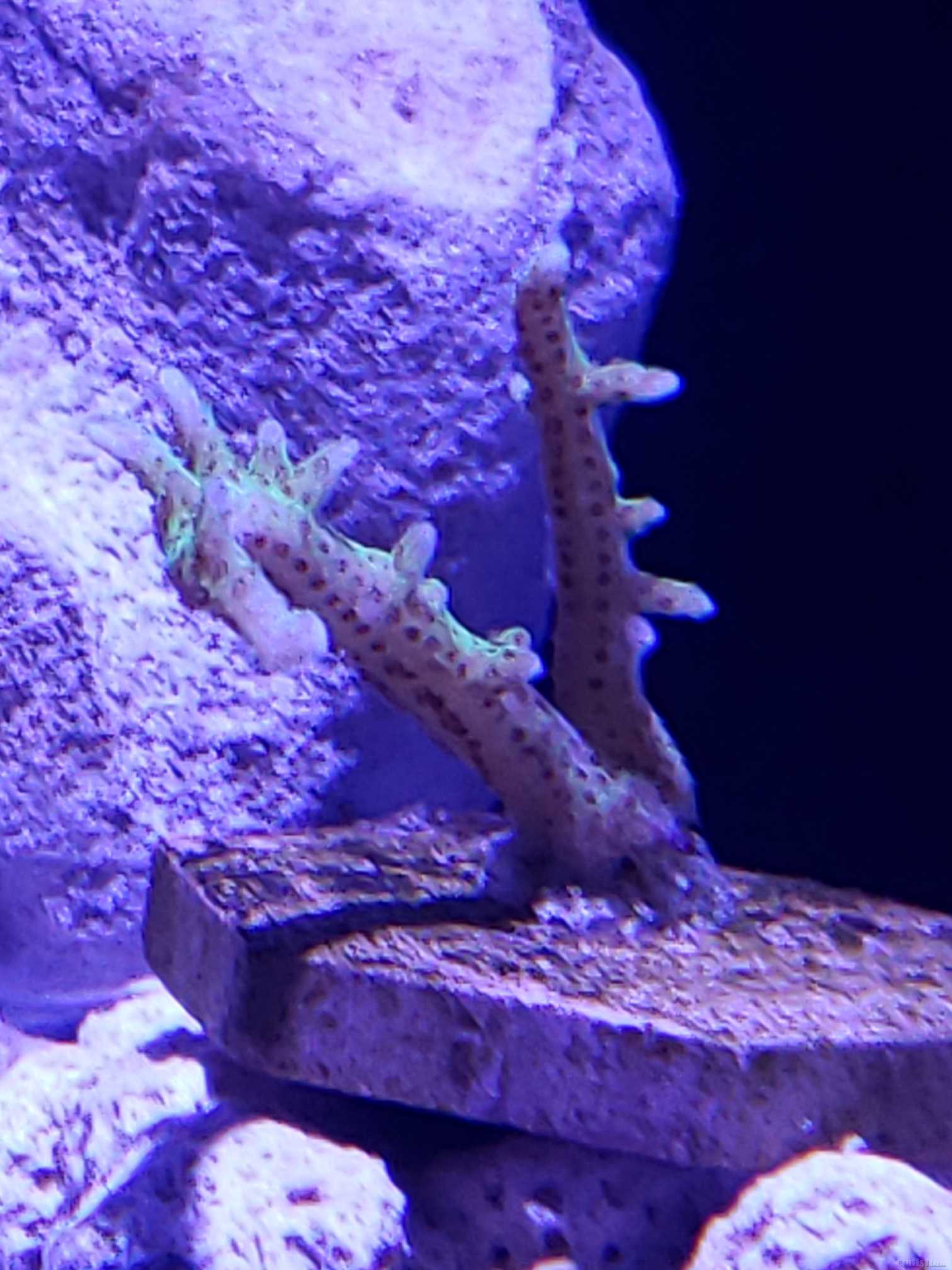 20220509_184615.jpg