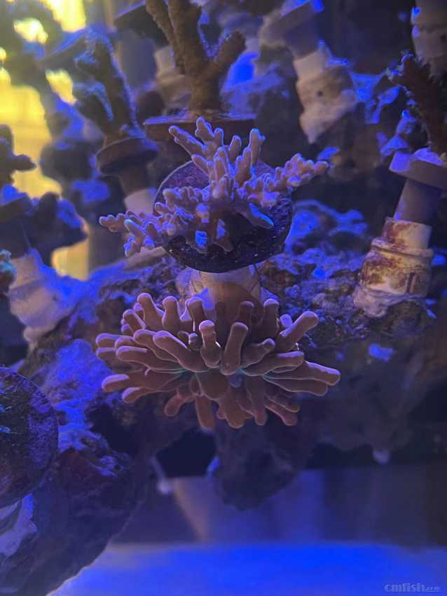 ΢��ͼƬ_20220519180111.jpg
