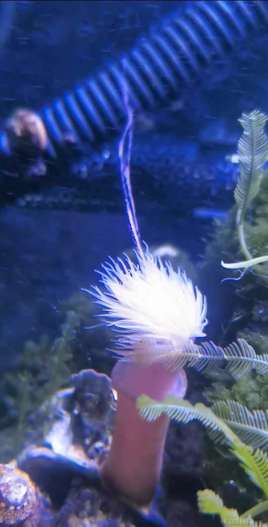 Screenshot_20220521_192338.jpg
