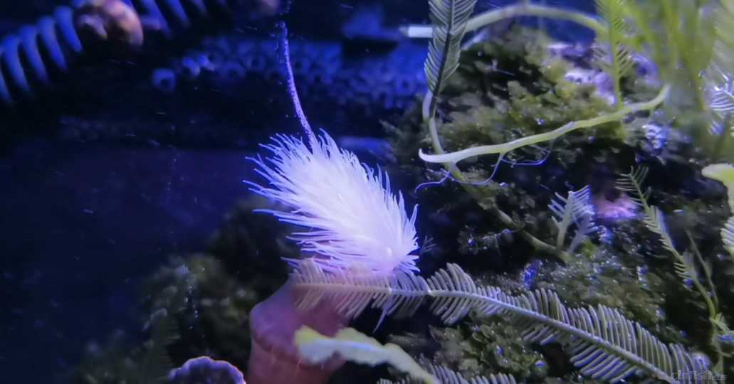 Screenshot_20220521_192314.jpg