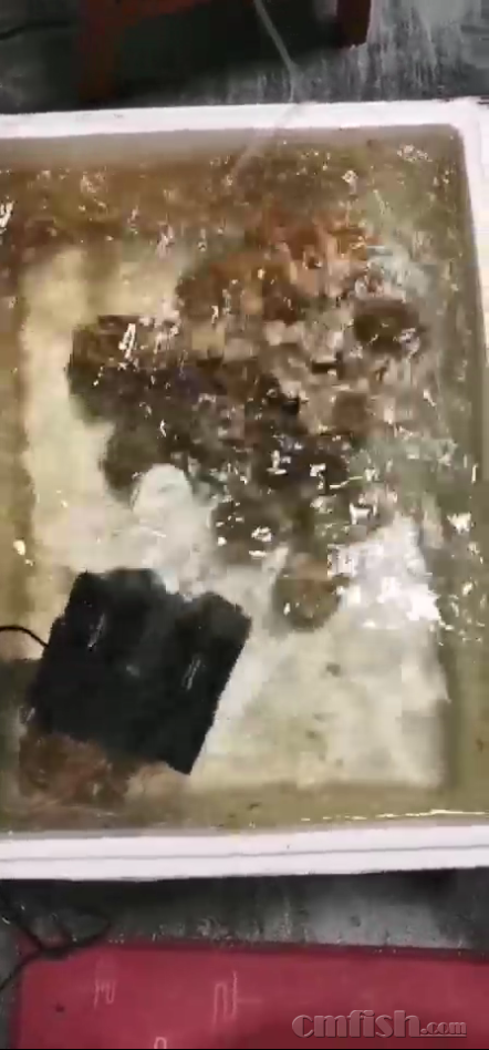 �����