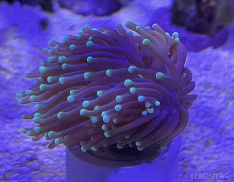 ΢��ͼƬ_20220529110356.jpg