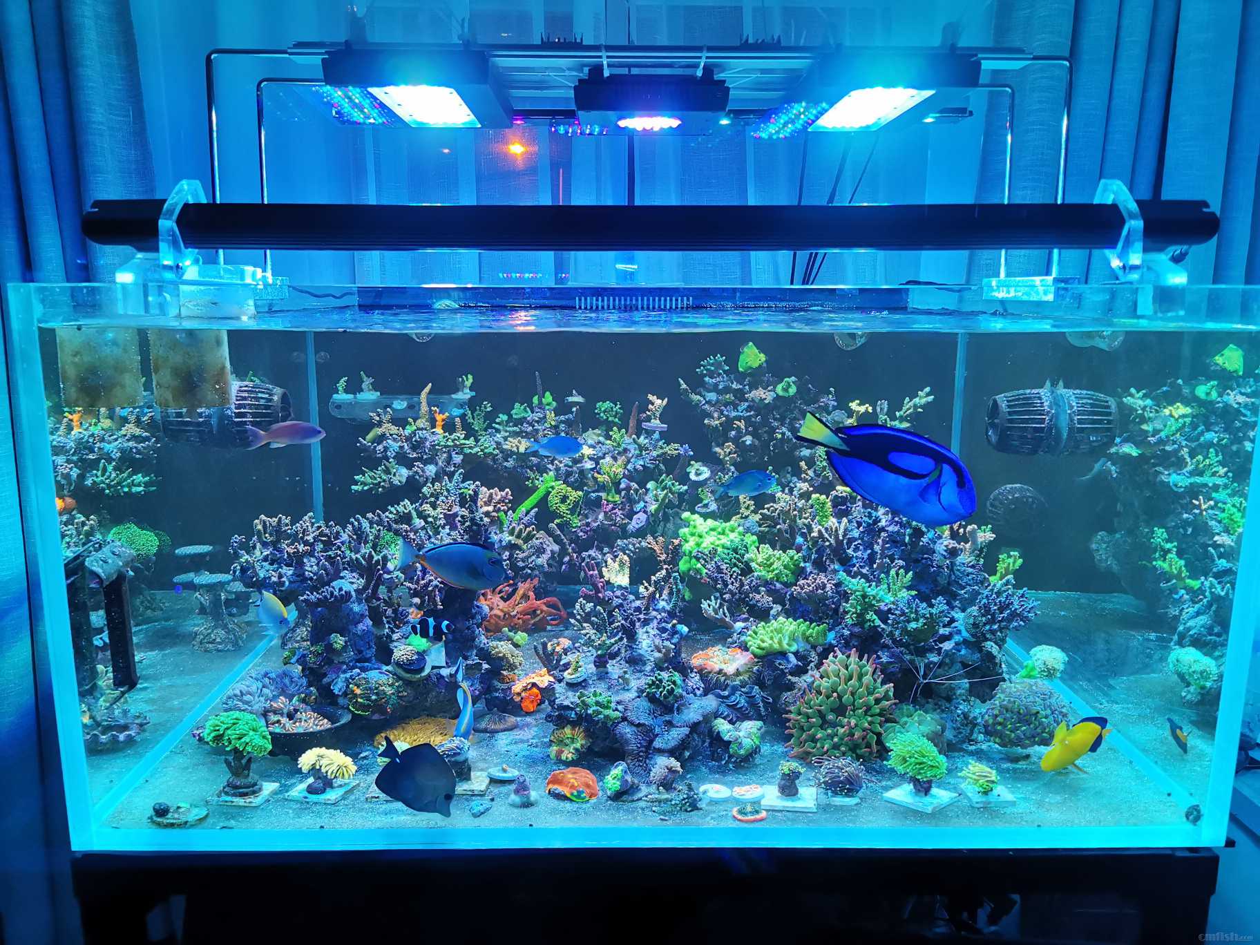 ���׳���