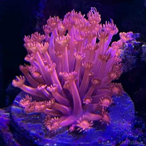 ΢��ͼƬ_20220513110424.jpg