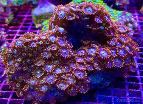 ΢��ͼƬ_20220602110413.jpg