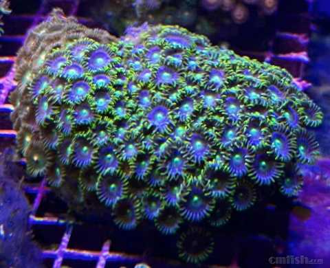 ΢��ͼƬ_20220602110406.jpg