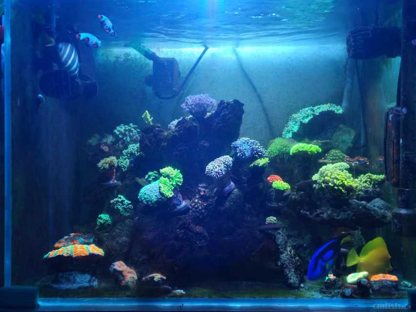 ���Ǻ��׵Ŀ�ʼ