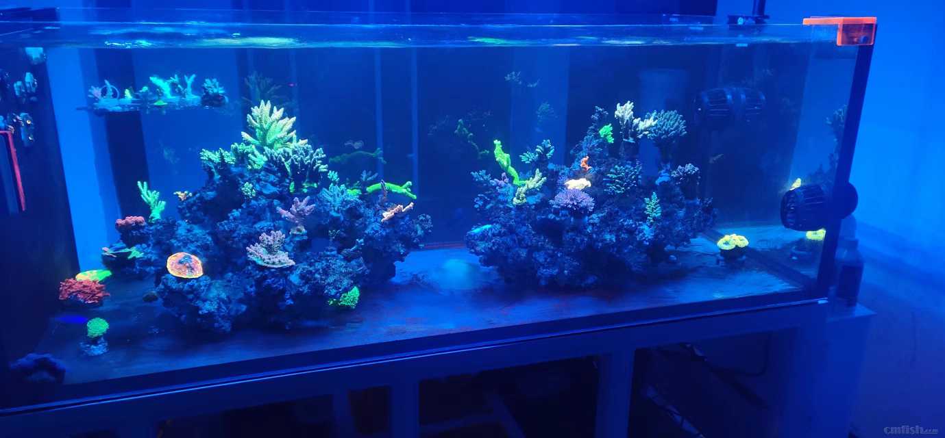 һ����λ������1.5Ӳ �Ǹ׽����µ���ս����