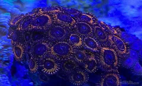 ΢��ͼƬ_20220607110419.jpg