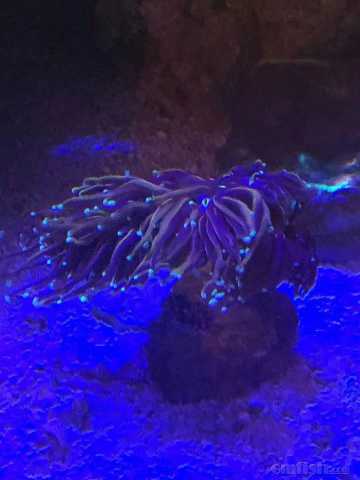 ΢��ͼƬ_20220513110500.jpg