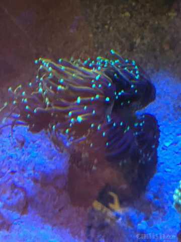 ΢��ͼƬ_20220513110505.jpg