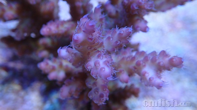 9557CF3C-5076-4080-A435-89916FA71CA1.jpeg
