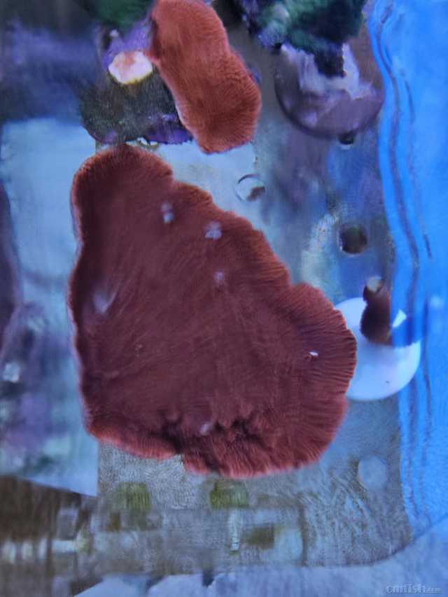 ΢��ͼƬ_20220614100109.jpg