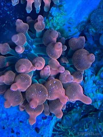 ΢��ͼƬ_20220609110732.jpg