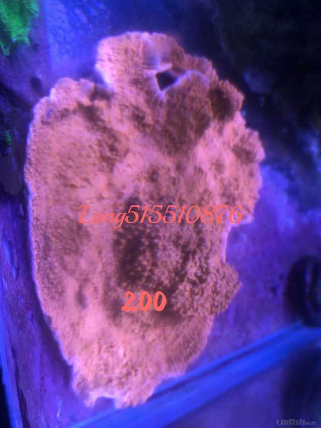 ΢��ͼƬ_202206151354521.jpg