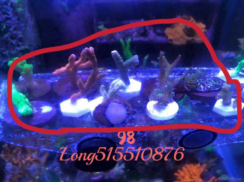 ΢��ͼƬ_202206151354524.jpg