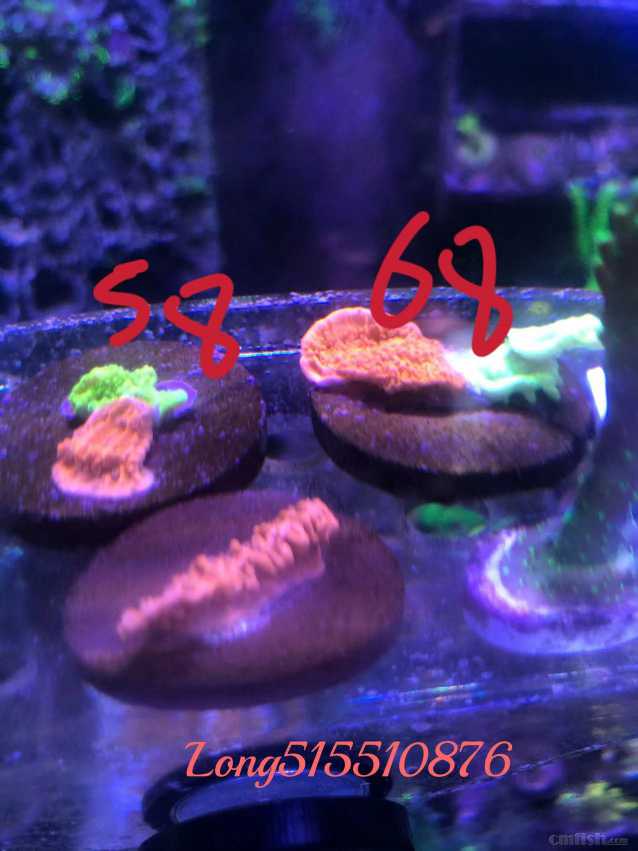 ΢��ͼƬ_202206151354525.jpg
