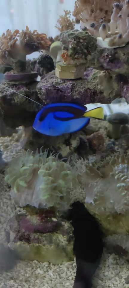 ΢��ͼƬ_20220618135110.jpg