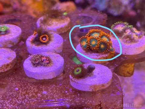 Inked΢��ͼƬ_20220618110724_LI.jpg