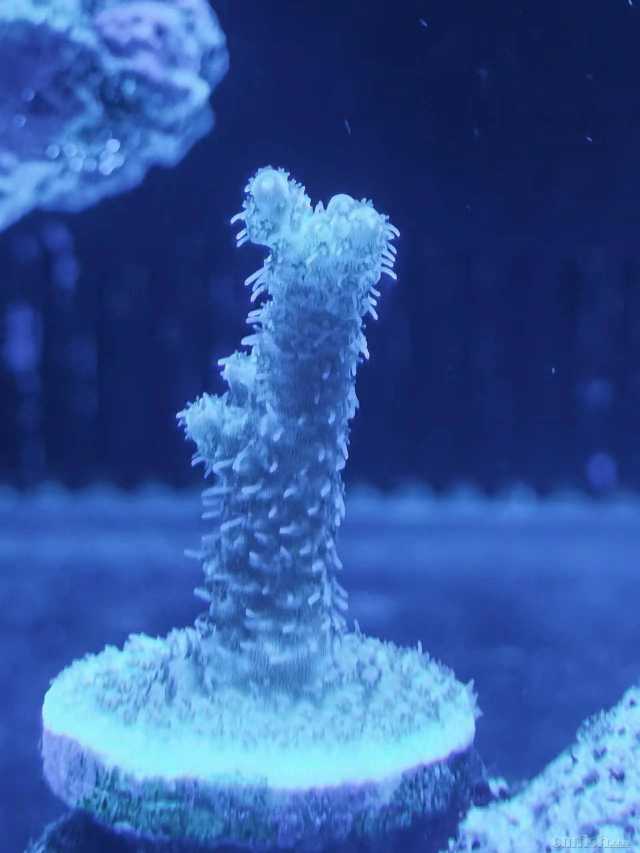 ΢��ͼƬ_20220623214007.jpg