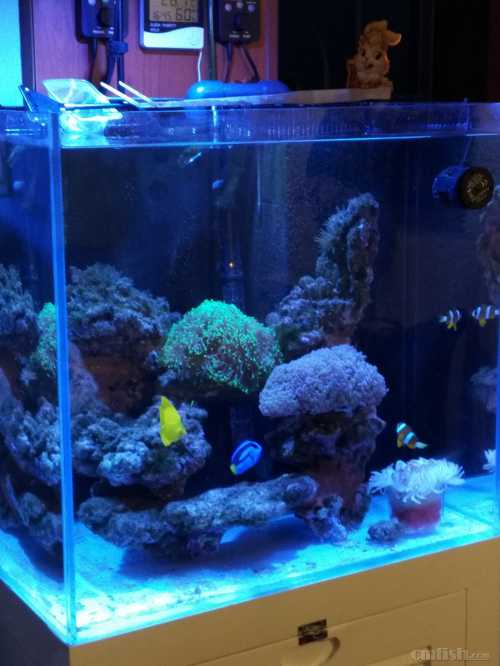 �տ�ʼ������Ƭ3