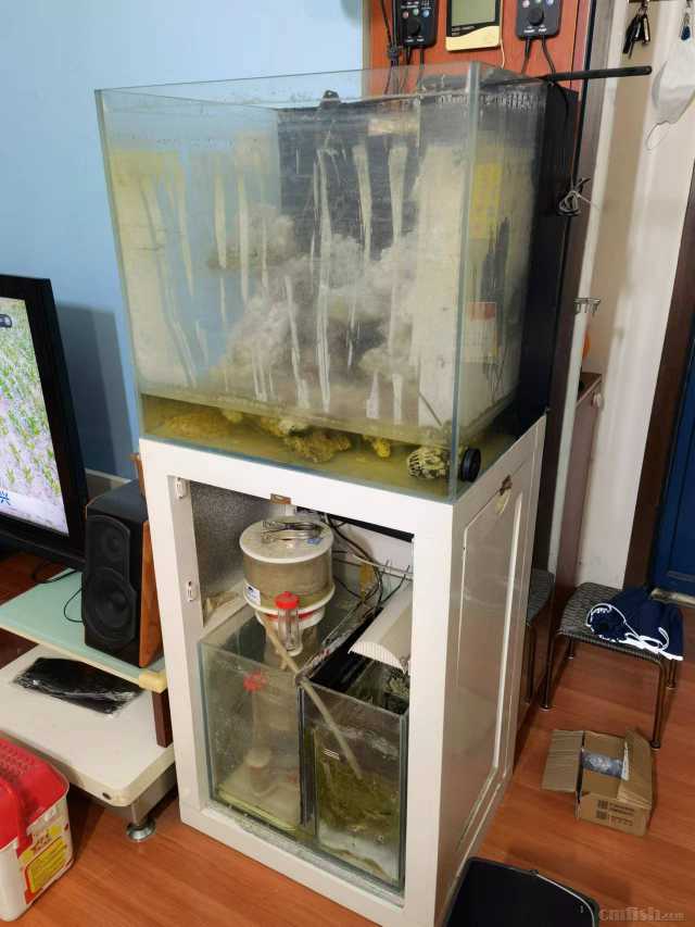 ���ĵ���Ƭ