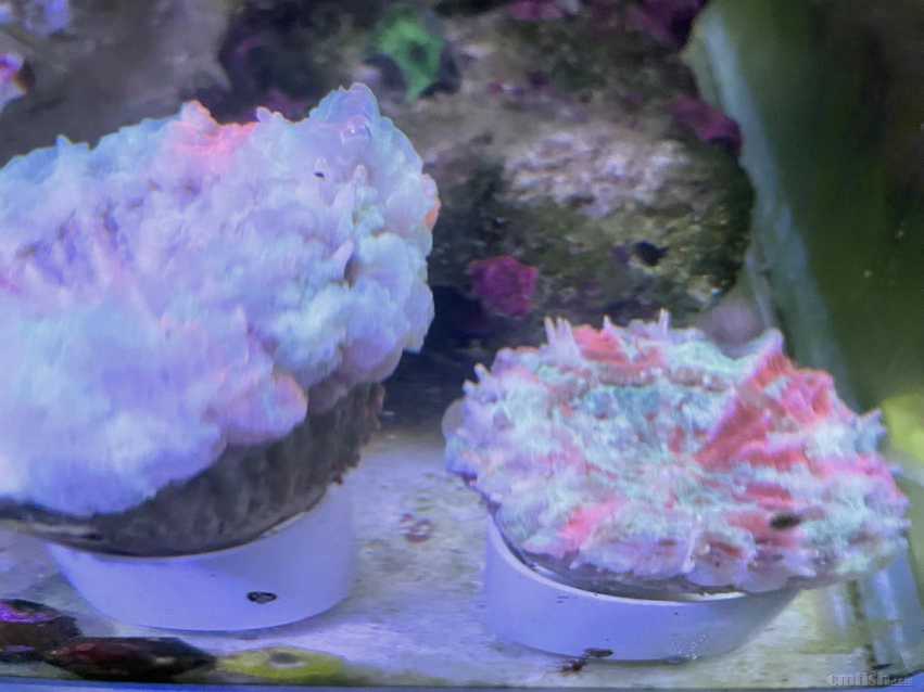 ���塢©��