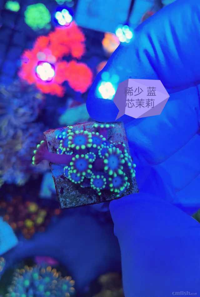 ϡ�� ��о����.jpg