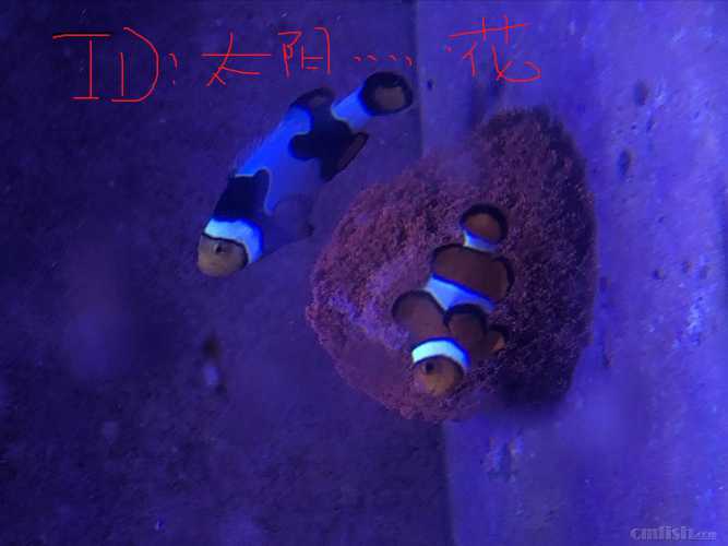 QQͼƬ20220712112809.jpg