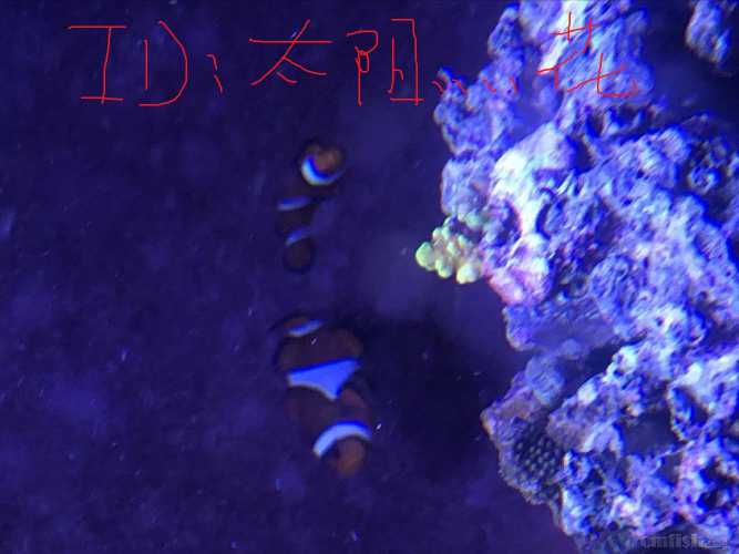 QQͼƬ20220712112819.jpg