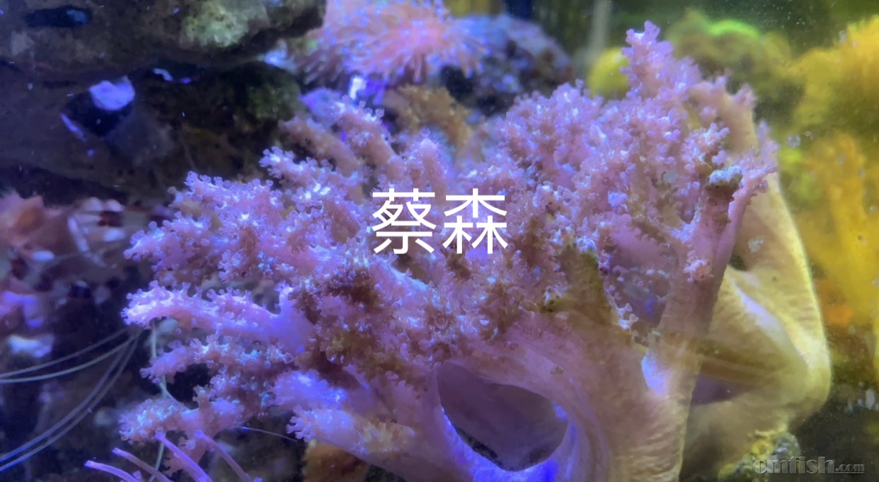F44A4105-8E81-4CCA-956E-8C421CE470D9.jpeg
