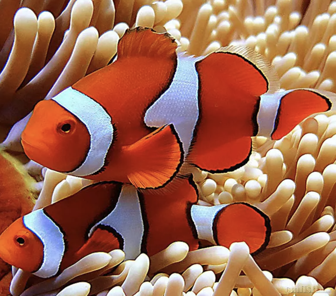 ����2022-07-11 ����5.48.06.png