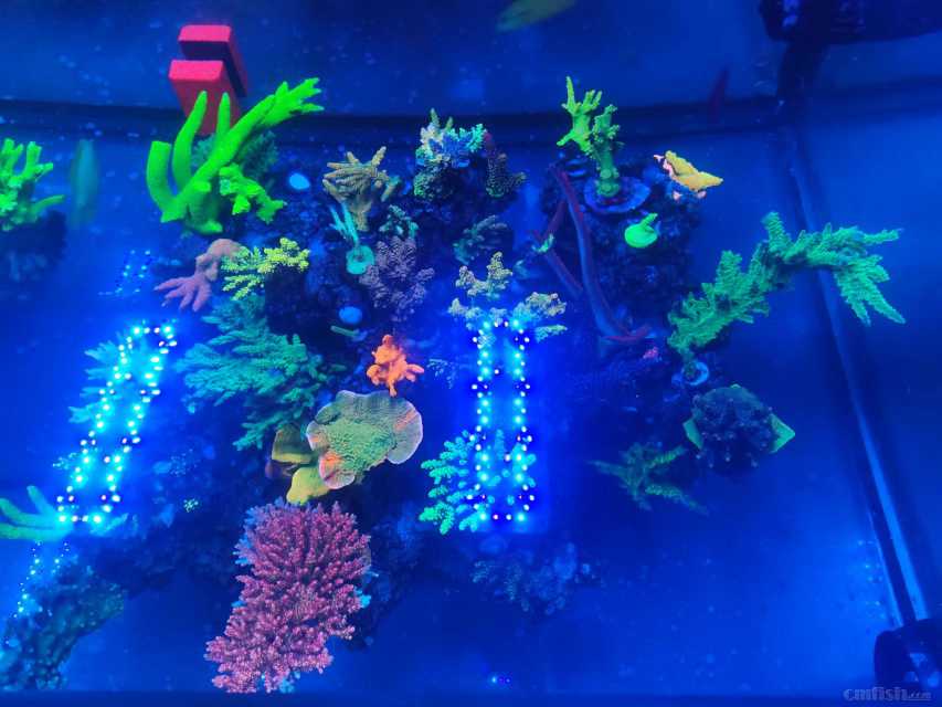 ΢��ͼƬ_20220719204004.jpg